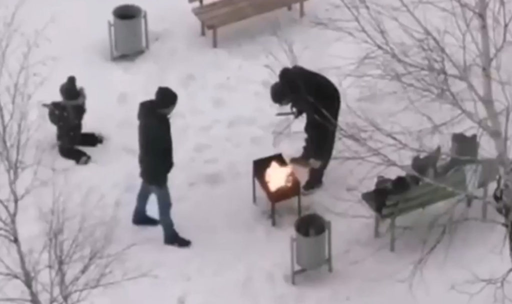 Захотелось шашлыков