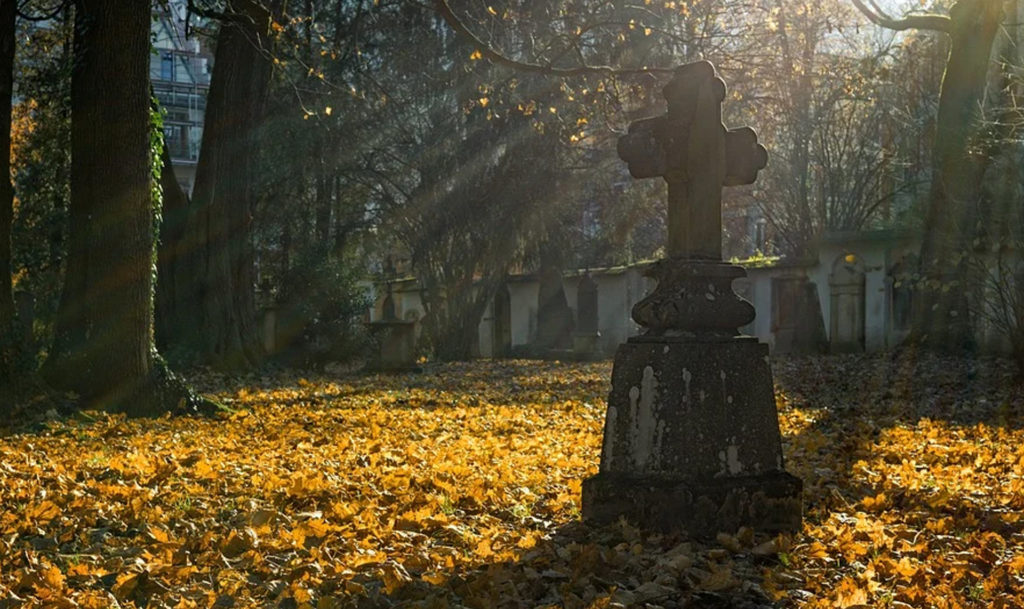 митрофановское кладбище могут открыть