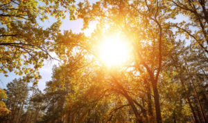 Метеорологи предупредили о начале периода «опасного» солнца