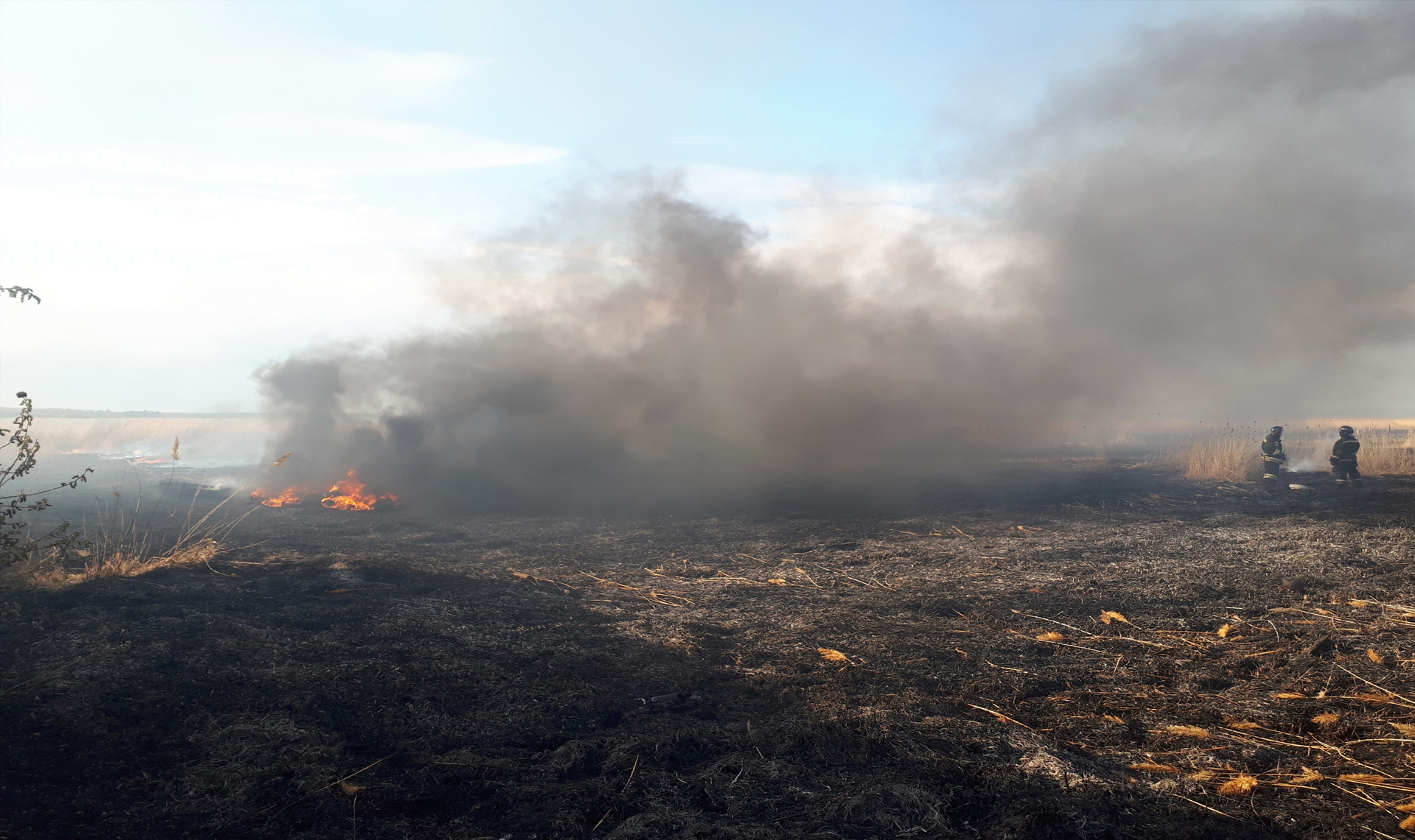 Земля пал. Лесной пожар в Челябинске 2021. Природные пожары. Пожар фото. Лесные пожары в Челябинской области.