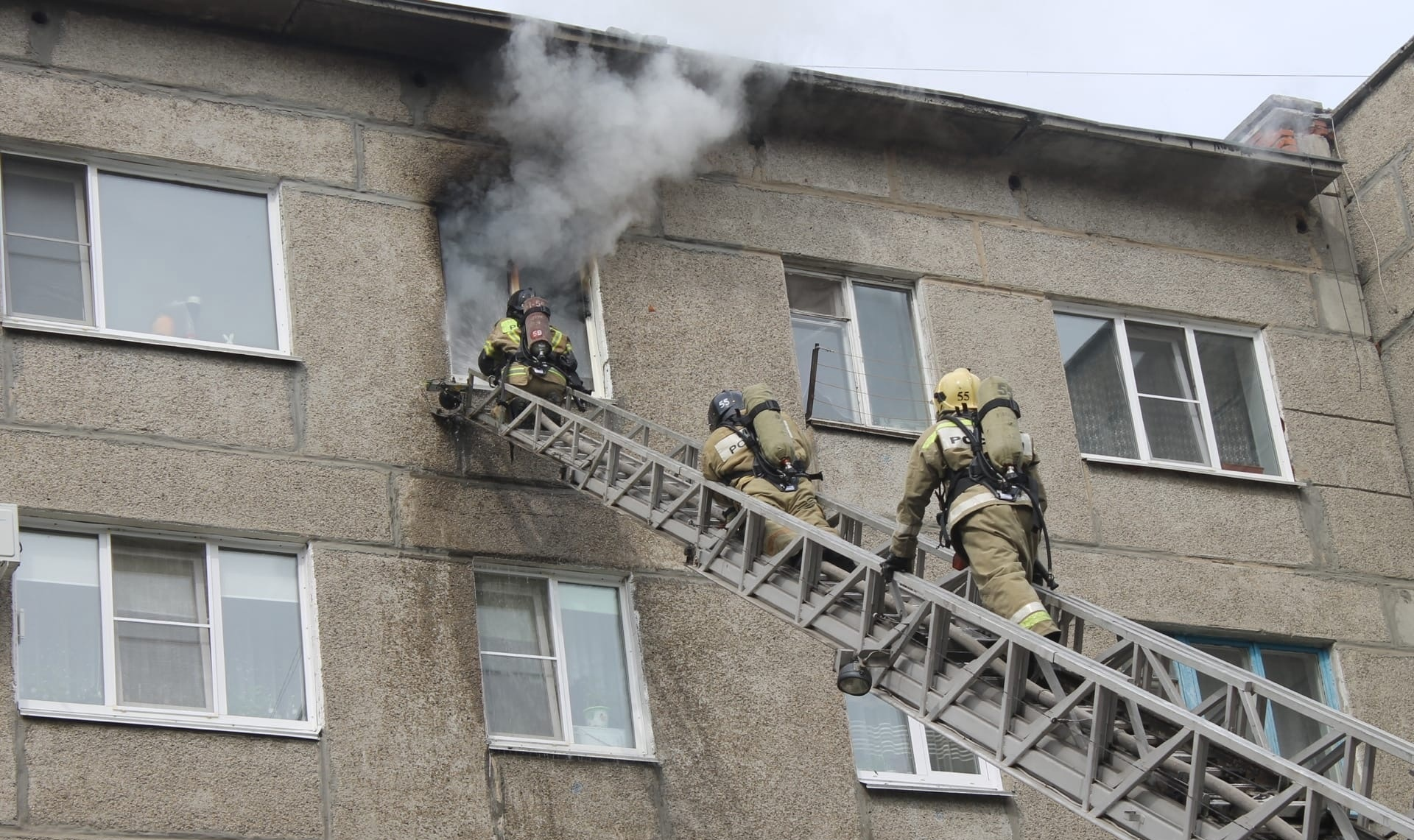 В Троицке дама с кошками чуть не сгорела в собственной квартире |  24.06.2022 | Челябинск - БезФормата