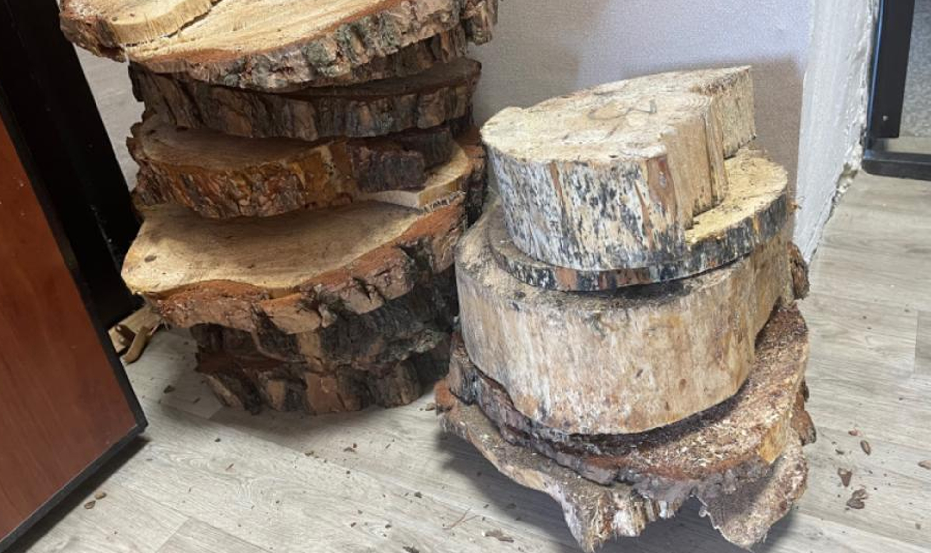 Южноуралец незаконно вырубил деревья на 300 тысяч рублей