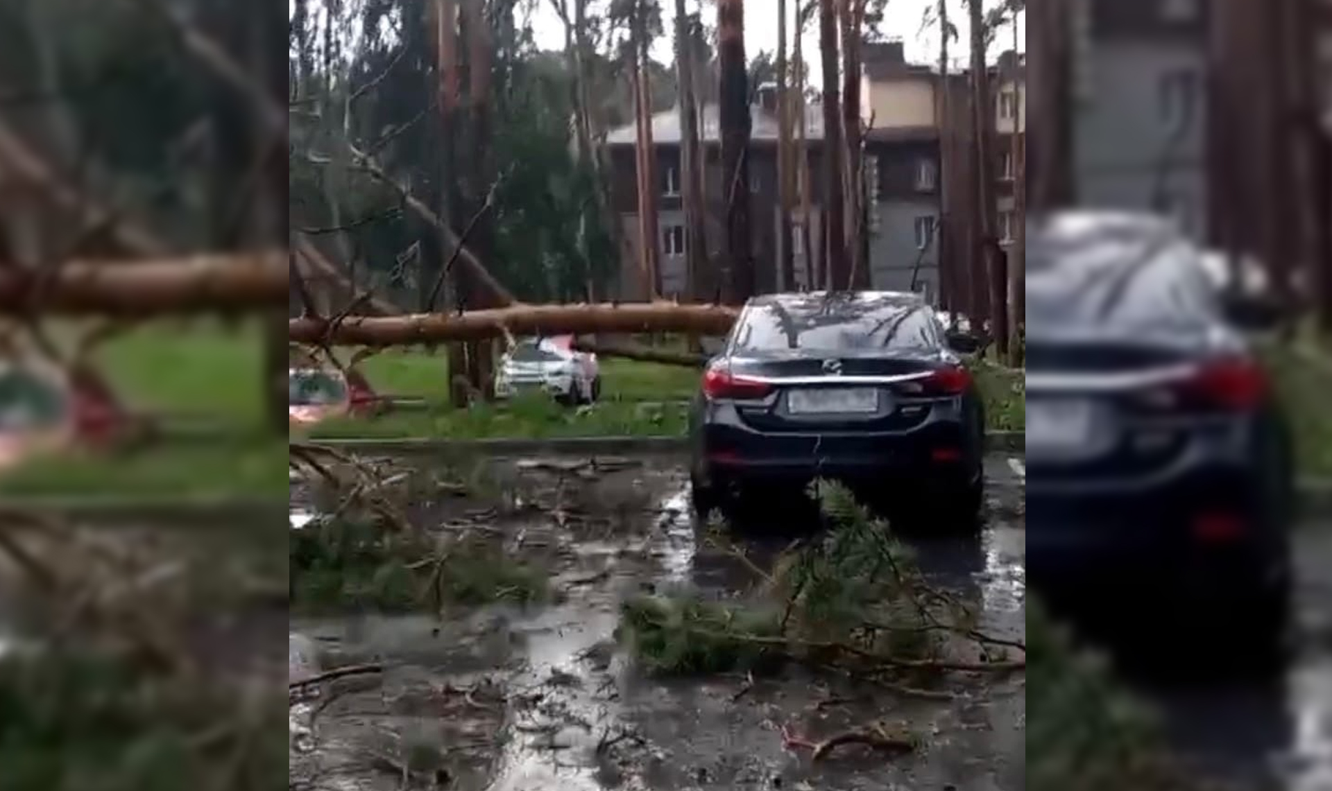 Стихия повалила деревья и повредила машины на курорте Челябинской области
