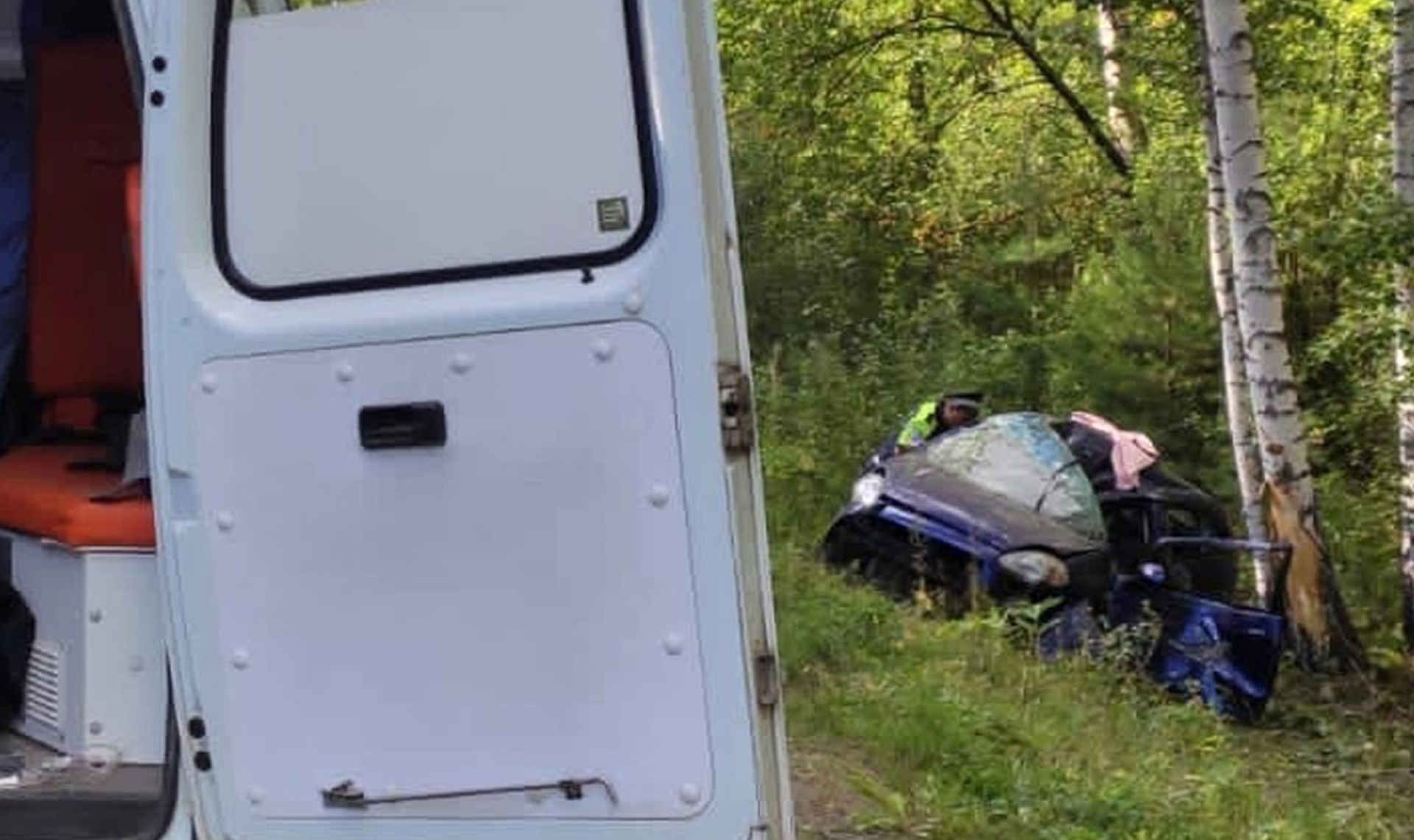 На Южном Урале семья пострадала в ДТП из-за падающей березы