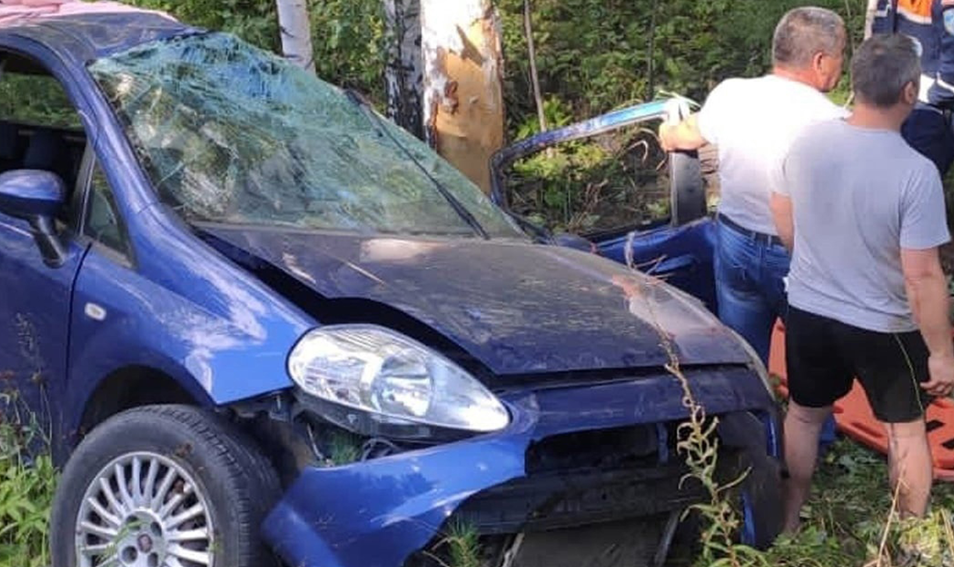 На Южном Урале семья пострадала в ДТП из-за падающей березы