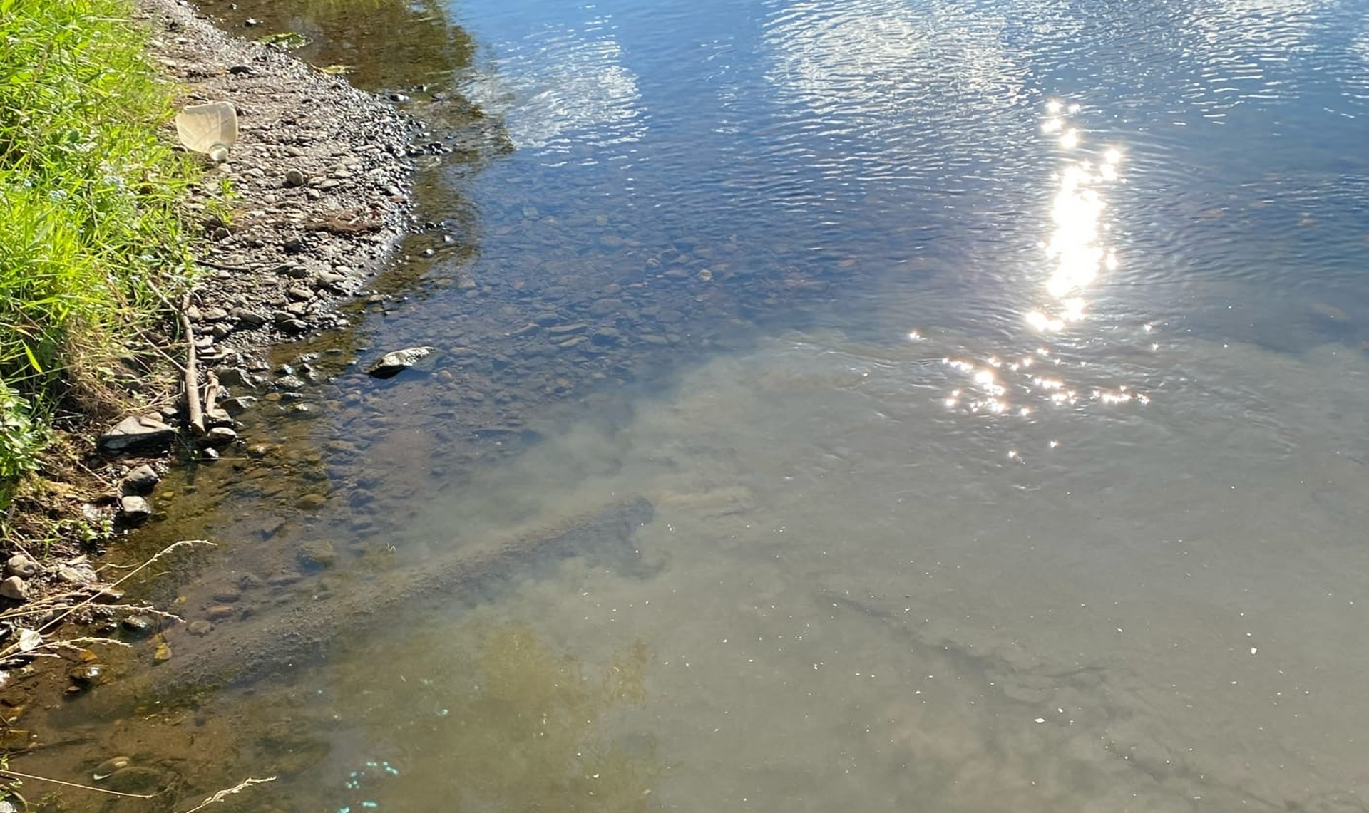 какая рыба водится в реке миасс в челябинске