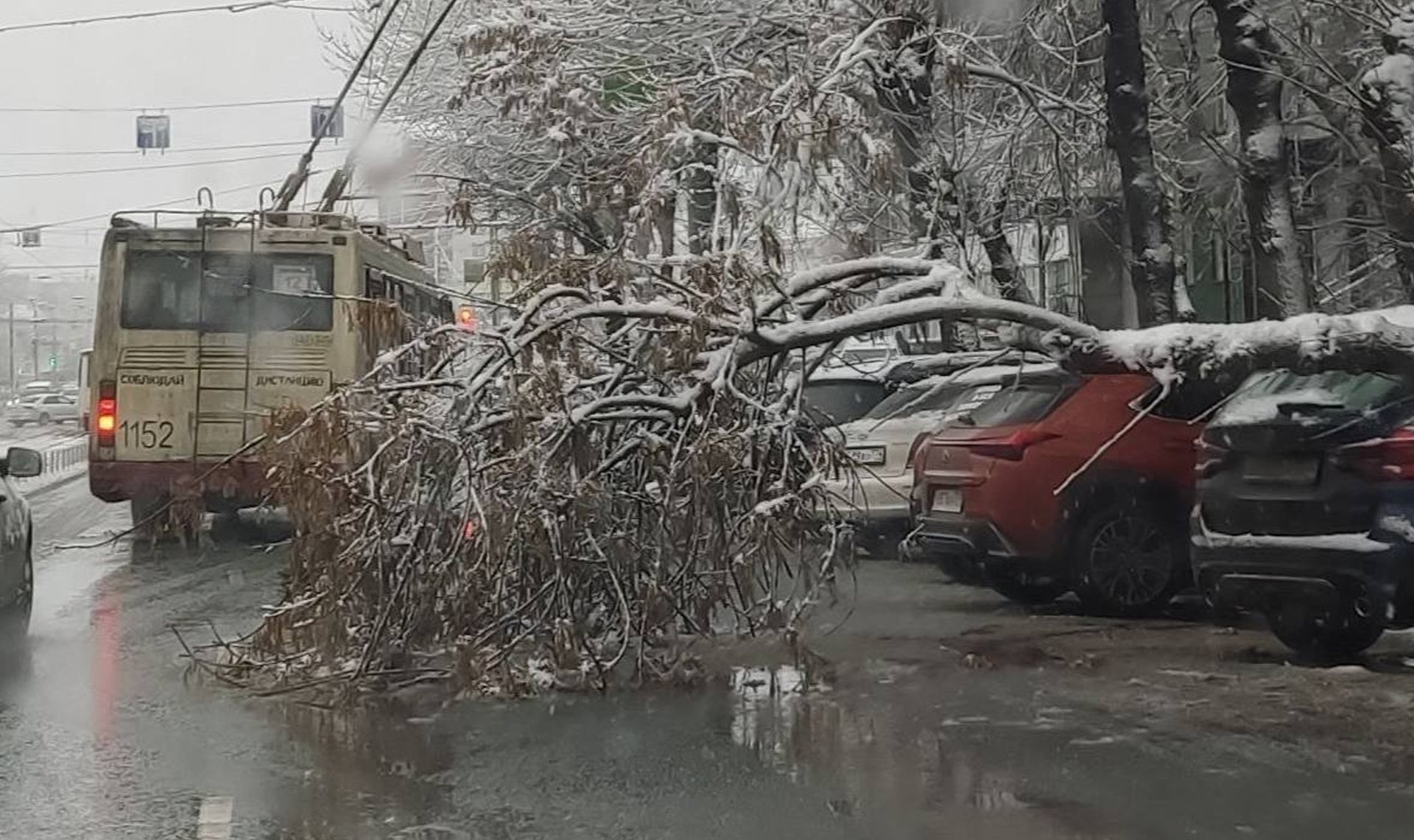 В центре Челябинска дерево рухнуло прямо на машину