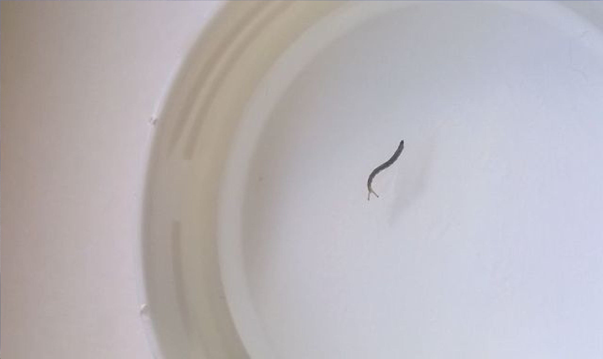В Челябинской области из крана лилась вода с червями