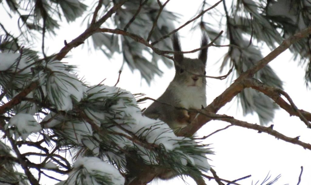 белки завтраки Таганай