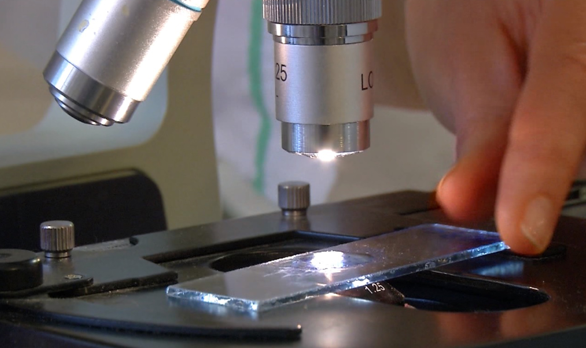 Россельхознадзор обнаружил на полях дочки «Рависа» сальмонеллу