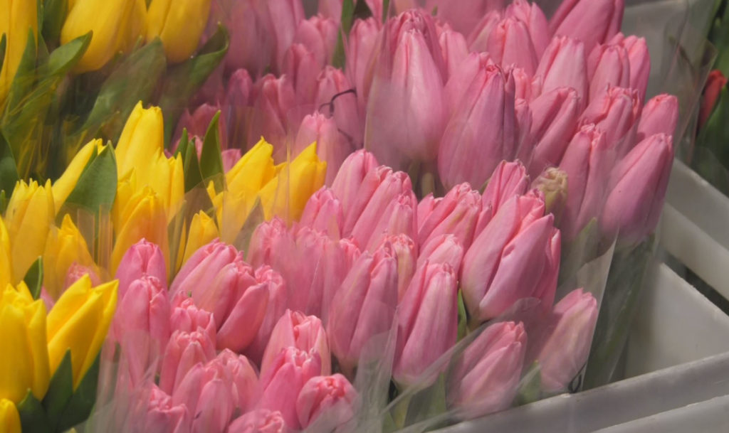 Как не испортить День святого Валентина себе и своему возлюбленному?