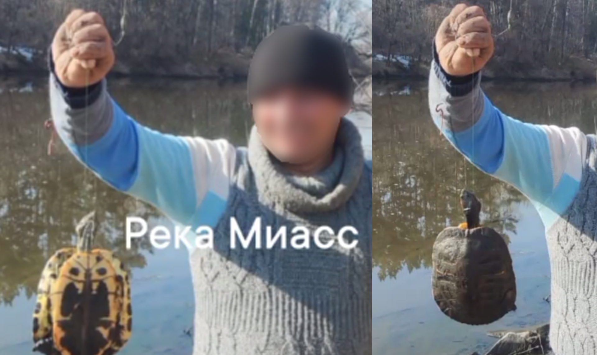 какая рыба водится в реке миасс в челябинске