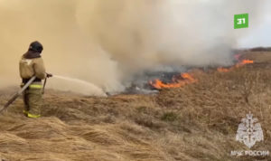 Челябинской области компенсируют затраты на тушение лесных пожаров