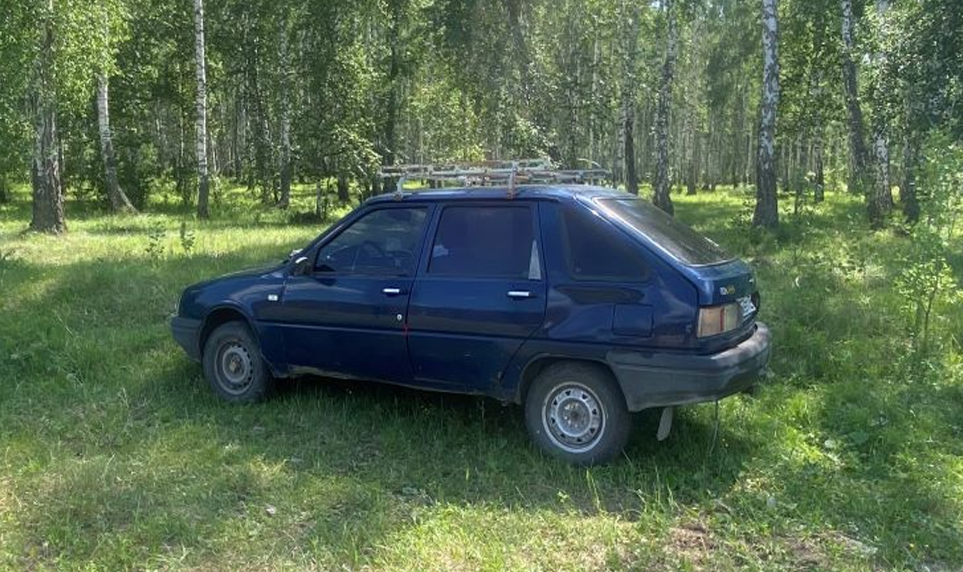 Молодой парень угнал старенькое авто, но когда понял, что оно неисправно,  бросил машину в лесу | 16.06.2023 | Челябинск - БезФормата