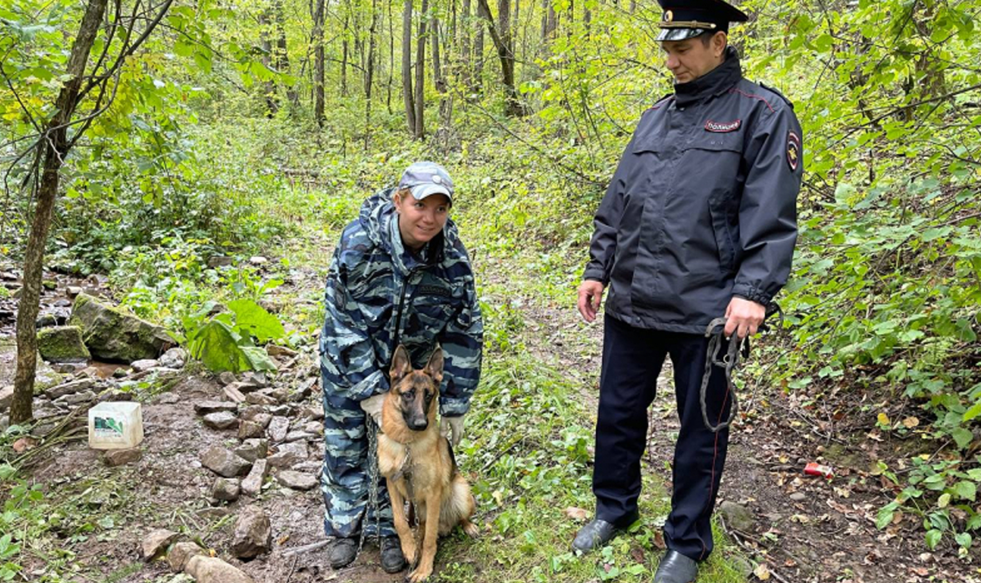 В лесу Ашинского района спасли собаку, привязанную к дереву