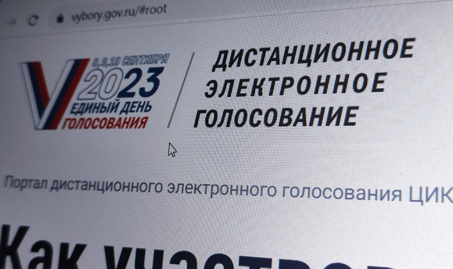 Где проголосовать в челябинске. Голосование в Челябинской области. Голосование госуслуги 2024 фото. Голосование через госуслуги 2024. Проголосовать дистанционно.