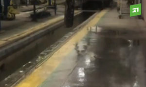 затопило депо Челябинск