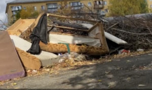 Жители Челябинска жалуются на стихийные свалки во дворах