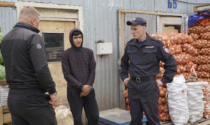 Фиктивная прописка. В Челябинске выявили 17 «резиновых» квартир, в которых было зарегистрировано более 50 мигрантов