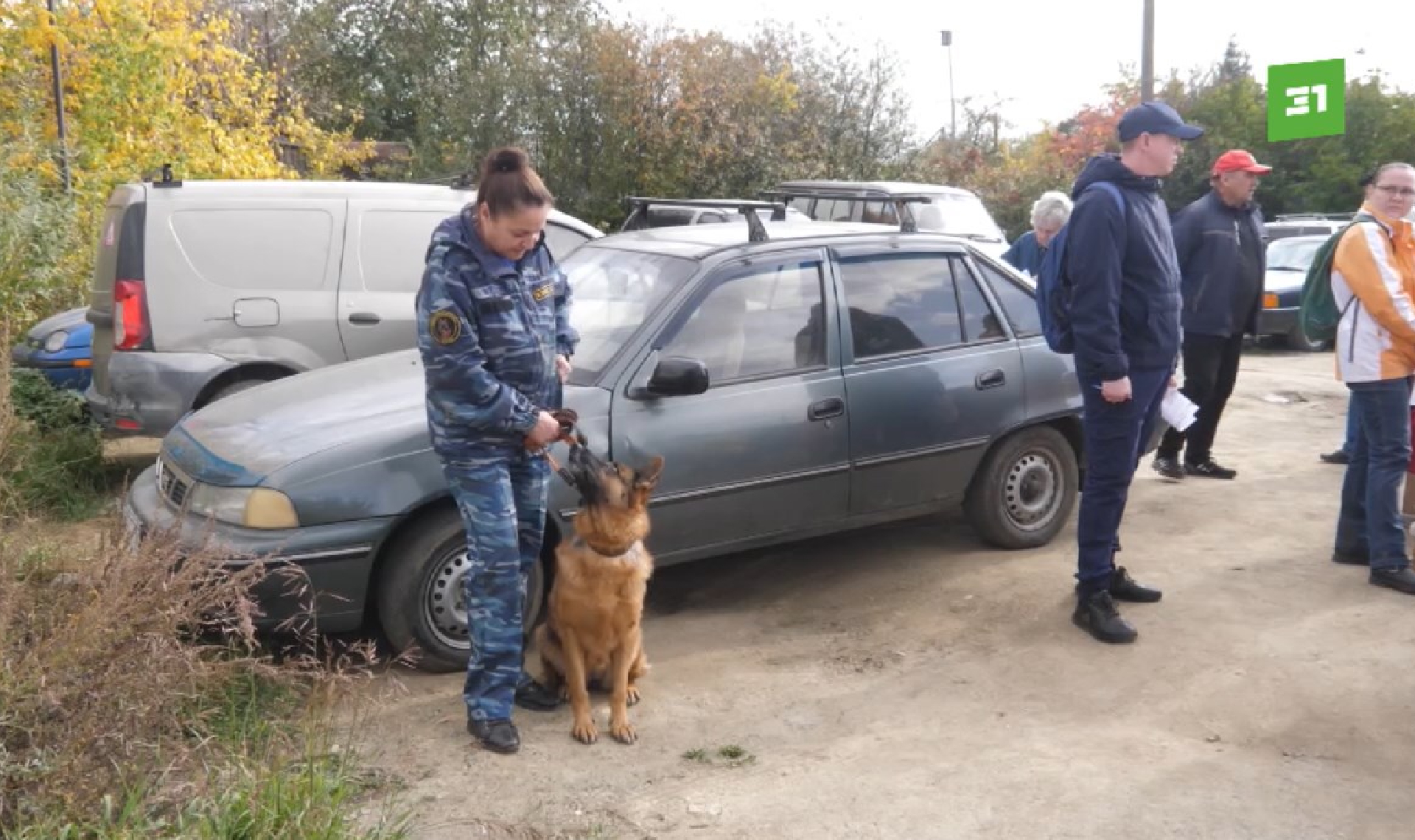 Все те же грабли. В СНТ «Любитель-2» идет борьба за место председателя |  09.10.2023 | Челябинск - БезФормата