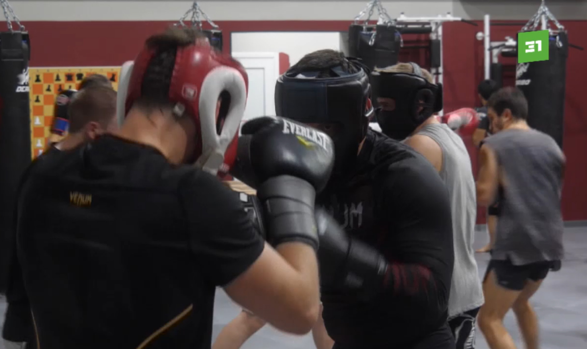 Шахматы и бокс