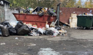 На вывоз мусора из Челябинской области потратят более 4,5 миллиардов рублей