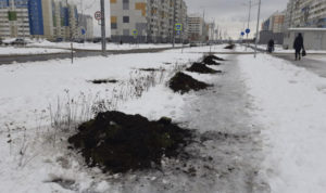 Разрытые газоны и велодорожка в глазури. В городском КДХ рассказали, что благоустройство на 2-й Эльтонской официально прошло приемку