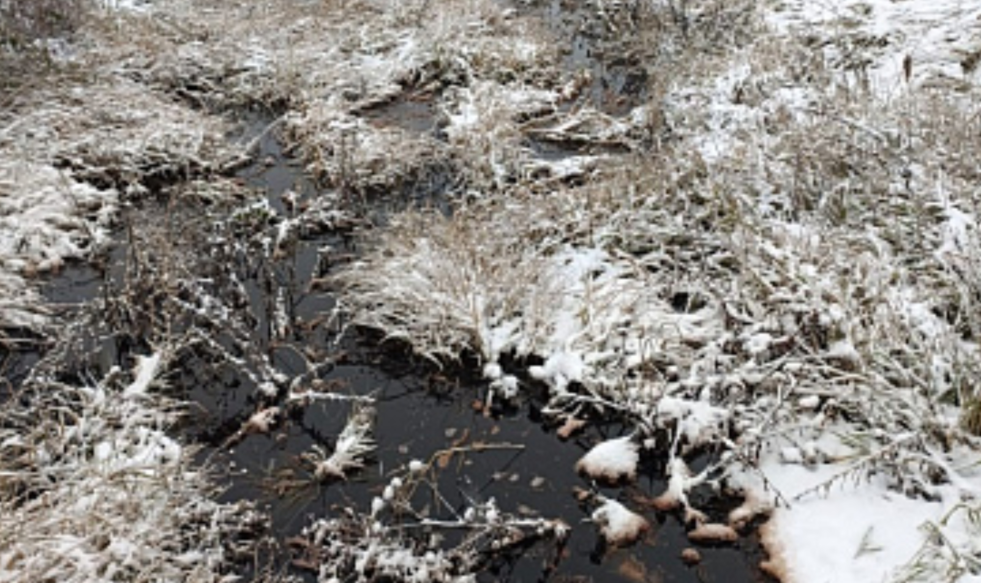 В Челябинской области на трассе произошел разлив фенолформальдегидной смолы