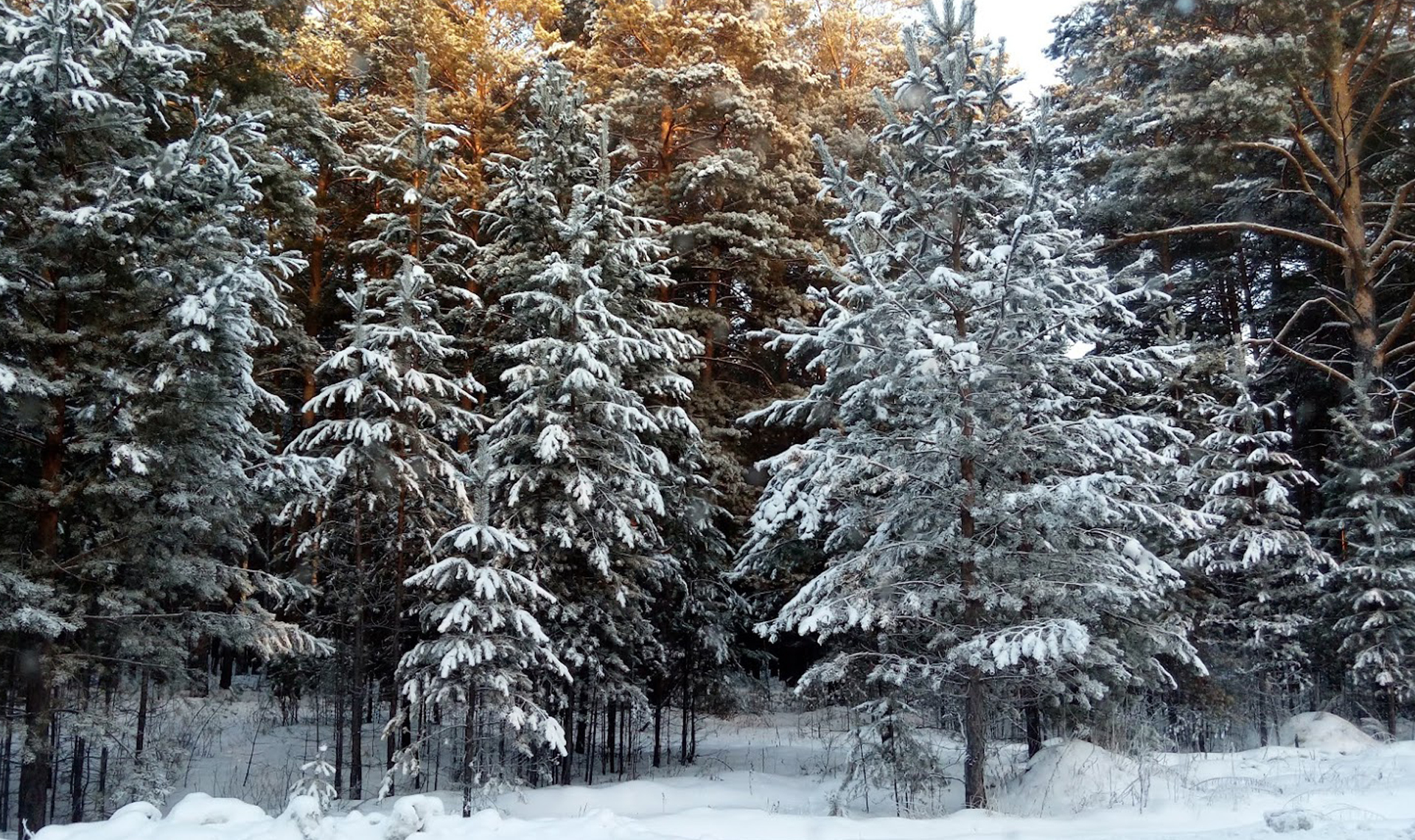 11 декабря челябинск