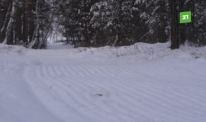 Челябинские спортсмены опробовали свежую лыжню