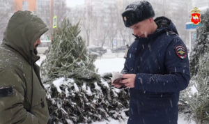 Мигрантам, получившим гражданство России, вручили повестки на елочных базарах