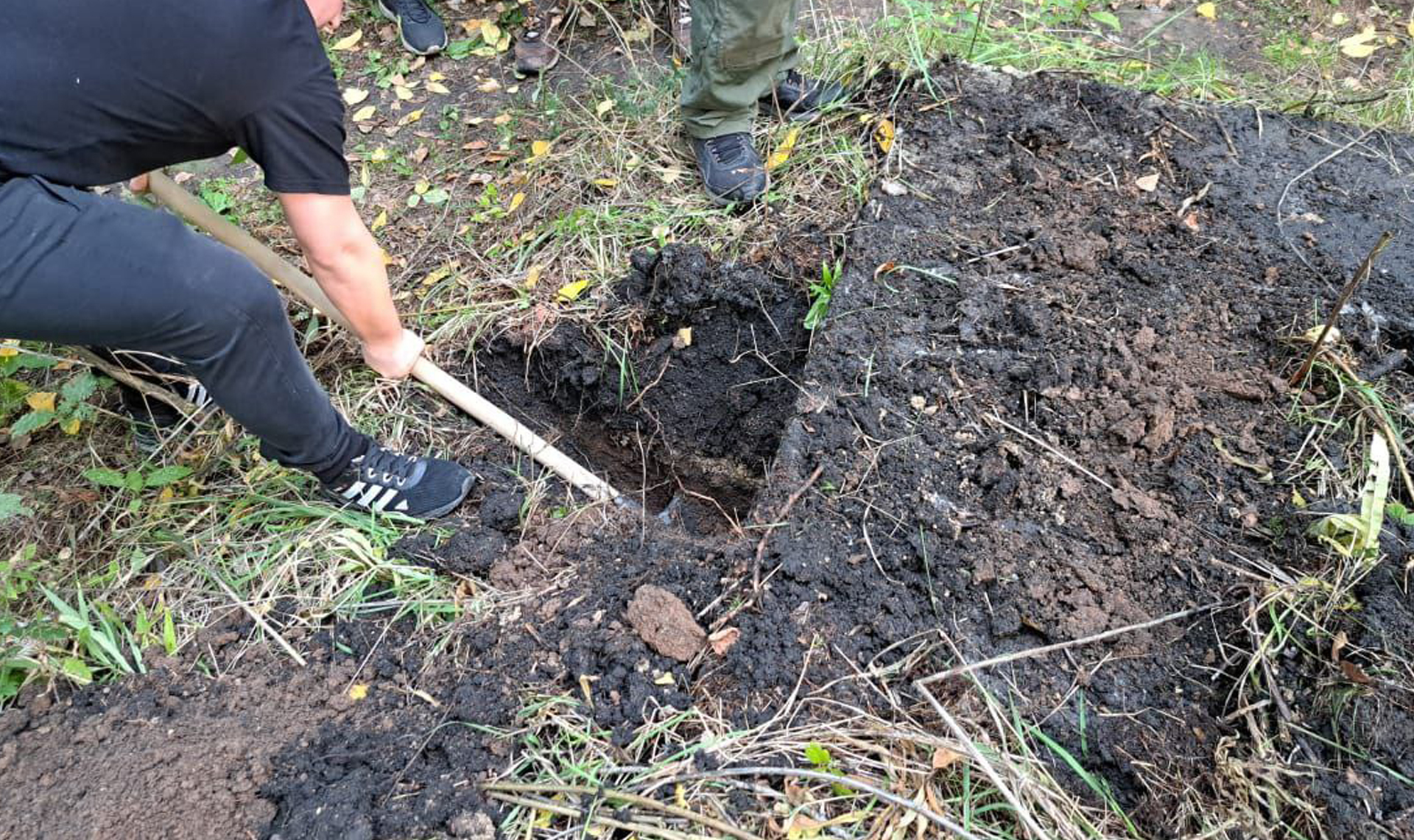 Суд отказался возвращать городу спорный участок возле бора на улице  Лесопарковой