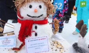Снегом растопить сердца. В Челябинске провели благотворительную акцию «Снеговики-добряки» 