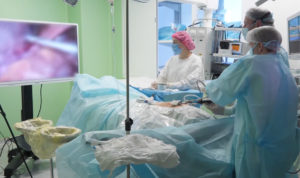 Столичные хирурги-герниологи показали южноуральским врачам методики устранения грыж