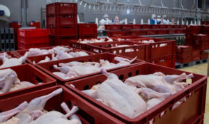 За лишние килограммы накажут? Челябинских производителей мяса поймали на манипуляции с ватеринарными документами