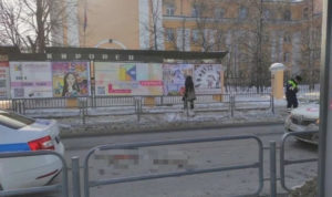 В Челябинске на Ленина сбили ребенка на пешеходе