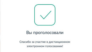 На выборах губернатора Челябинской области могут ввести систему электронного голосования