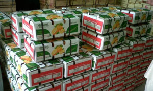 За прошлую неделю в Челябинскую область ввезли более тысячи тонны импортных фруктов и овощей