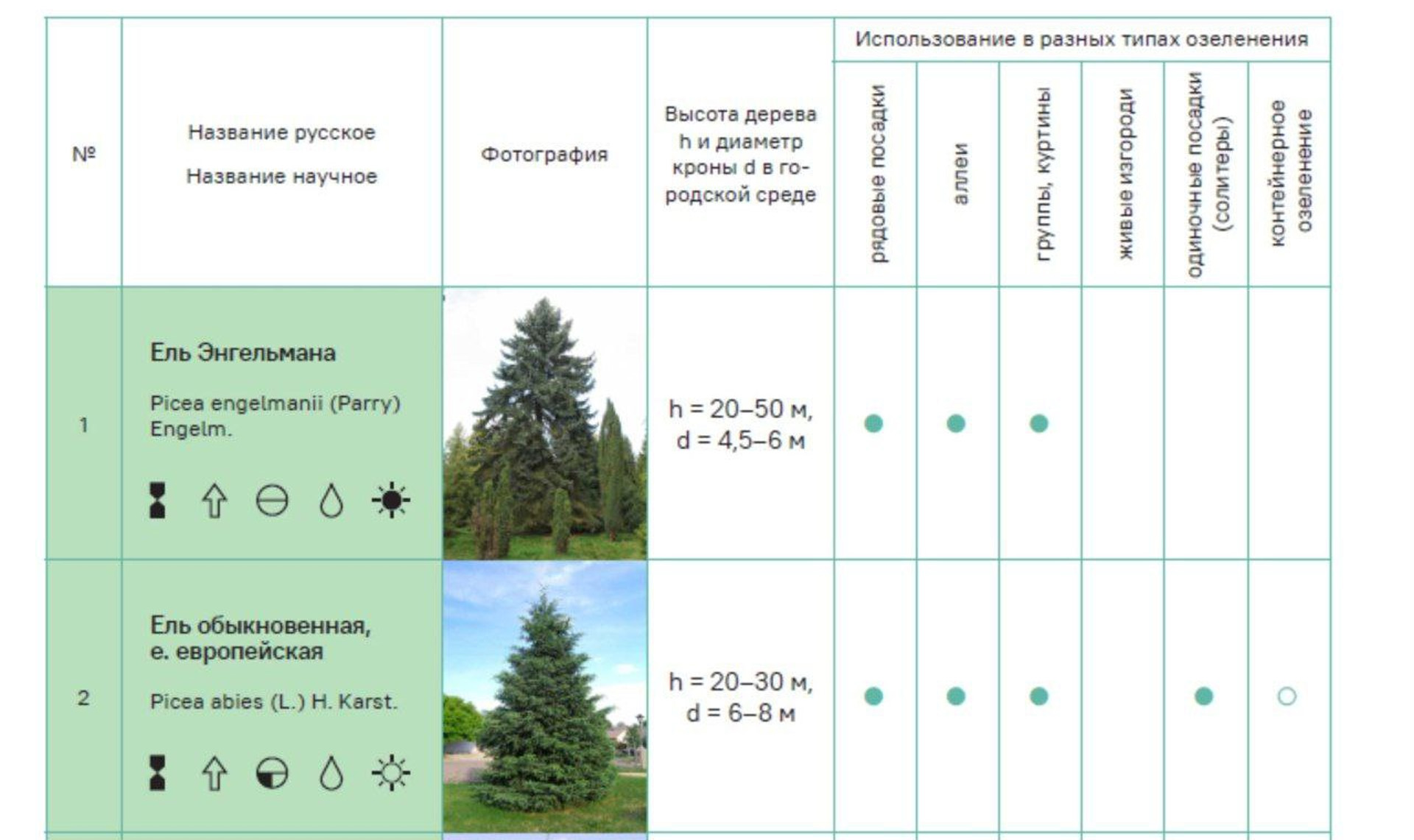Управление архитектуры утвердило дизайн-код озеленения Челябинска