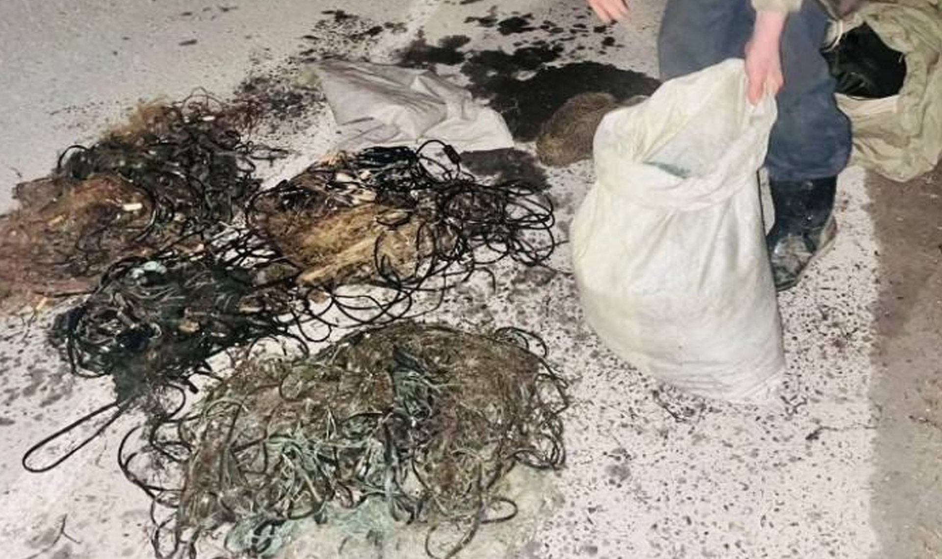 Полицейские Златоуста задержали трех браконьеров с 7 кг рыбы