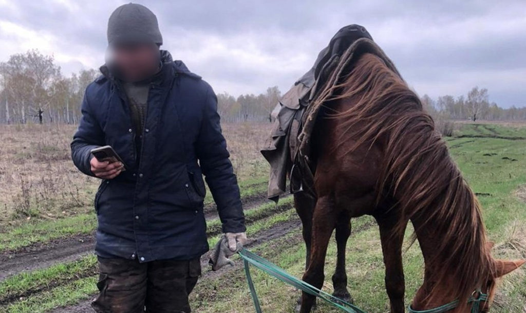 В Чебаркульском районе мужчина ушел искать заплутавший табун лошадей, а в итоге, потерялся сам