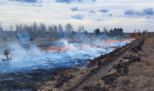 За нарушения правил пожарной безопасности в лесах привлекли к ответственности 33 южноуральцев