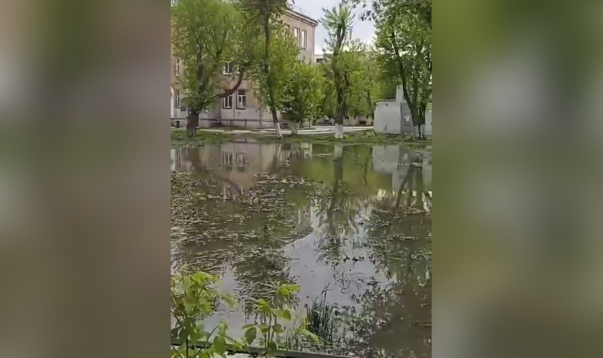 Из больничного окна лужа с утками видна. Двор у больницы №8 на ЧТЗ затопило  стоками | 15.05.2024 | Челябинск - БезФормата