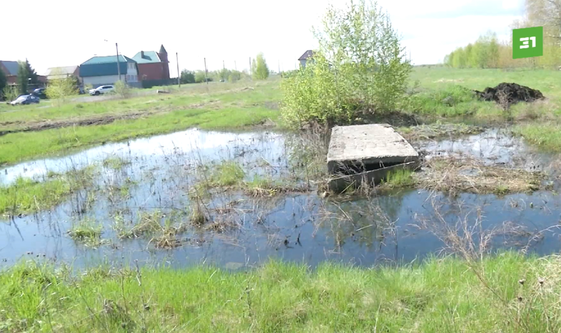 Роза уходит под воду. Рабочий посёлок второй месяц топит неизвестными  стоками