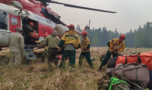 На Юге Челябинской области прогнозируют повышенный риск ЧС из-за лесных пожаров