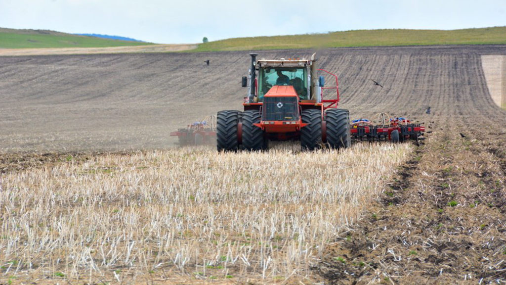 трактор в поле