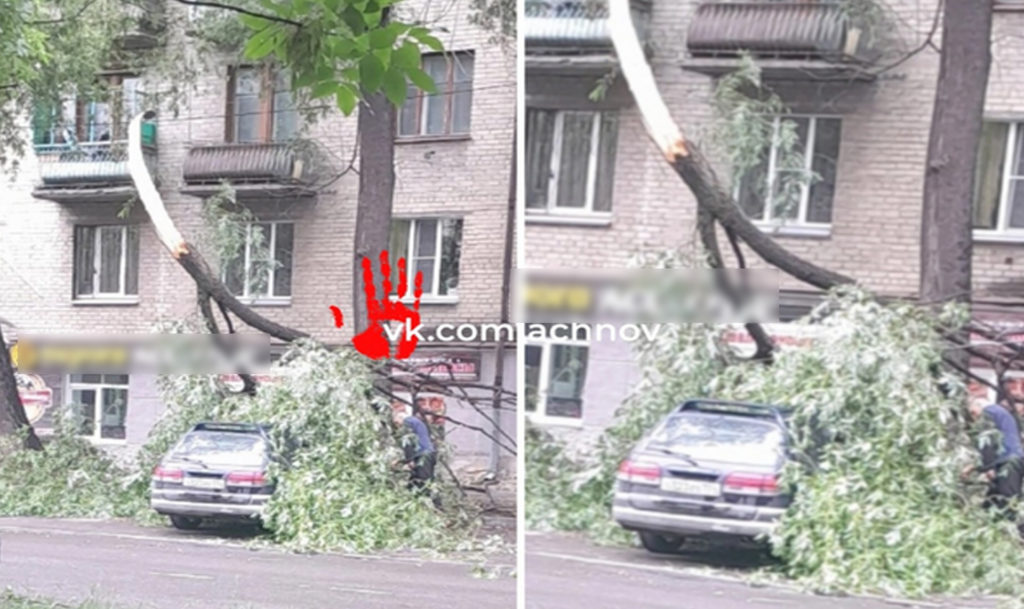 В Челябинске ветка дерева разбила машину