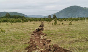 На Южном Урале с начала пожароопасного сезона ликвидировали 45 лесных пожаров
