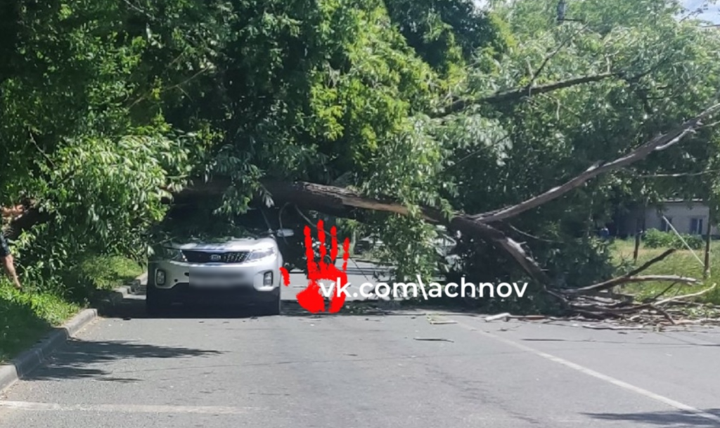 В Челябинске дерево упало на крышу проезжающей мимо машины