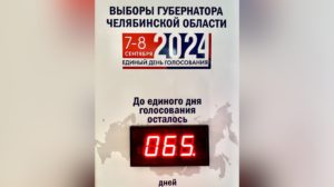 до выборов осталось 65 дней